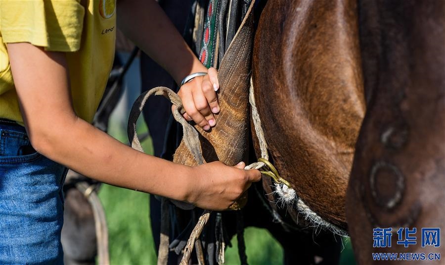 （特別的暑期生活·圖片故事）（7）草原女孩錫林花的暑期“歡樂時(shí)光”