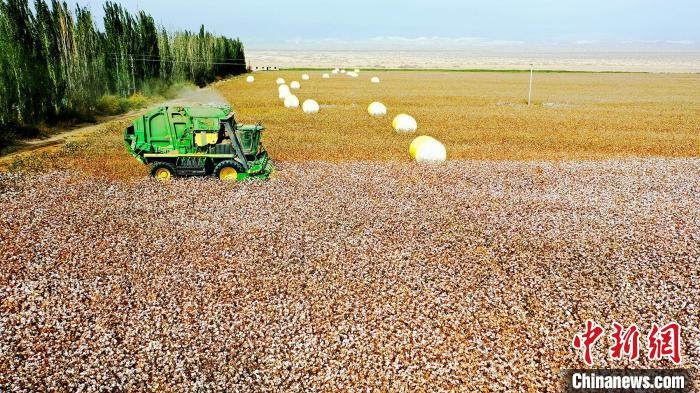 近年來，當?shù)孛藁ǚN植戶的生產(chǎn)生活發(fā)生了翻天覆地的變化?！《?攝