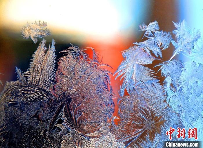 惟妙惟肖的冰窗花，似一幅風景畫?！O書程 攝