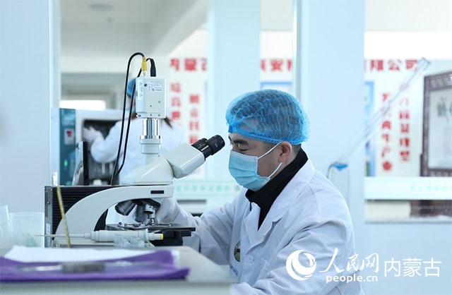 內蒙古中農(nóng)興安種?？萍加邢薰韭鋺艨朴抑衅欤瑸槿馀．a(chǎn)業(yè)發(fā)展提供了優(yōu)質的種源保障。白俊華攝