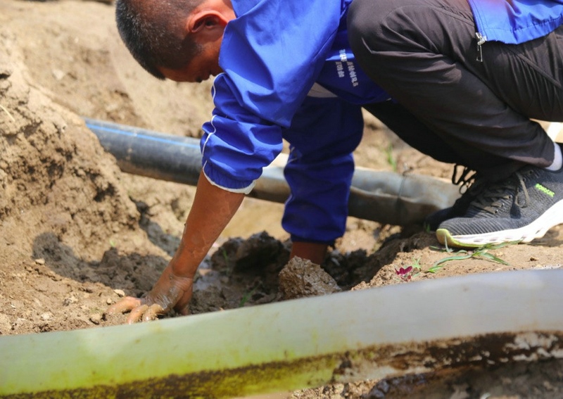 1595738337893290.jpg 1595736828132131.jpg