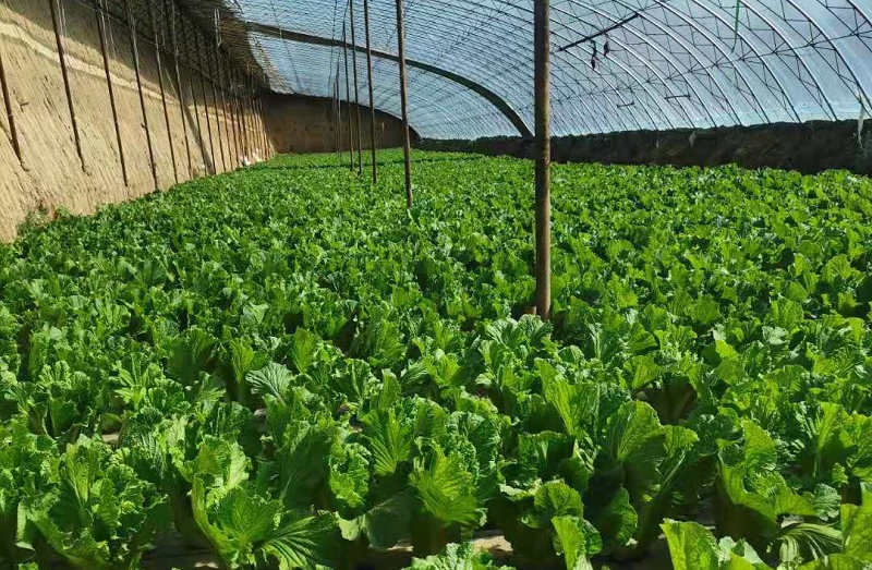 1618032393141537.jpg 微信圖片_20210410131858.jpg