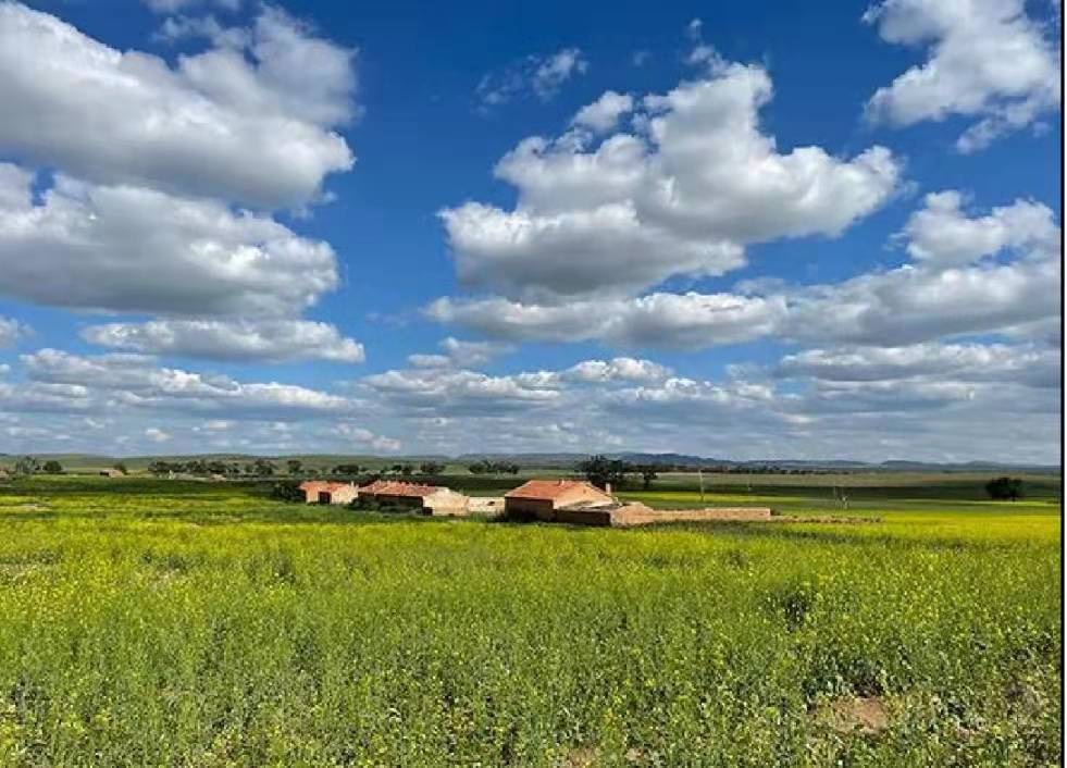 1643162062126732.png 圖片1.png