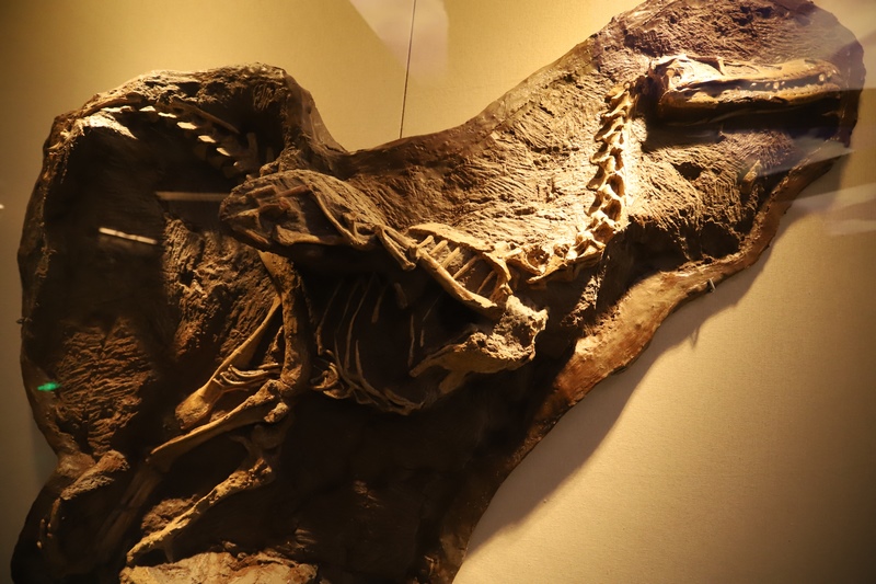 1648201430121461.png 圖片6.png