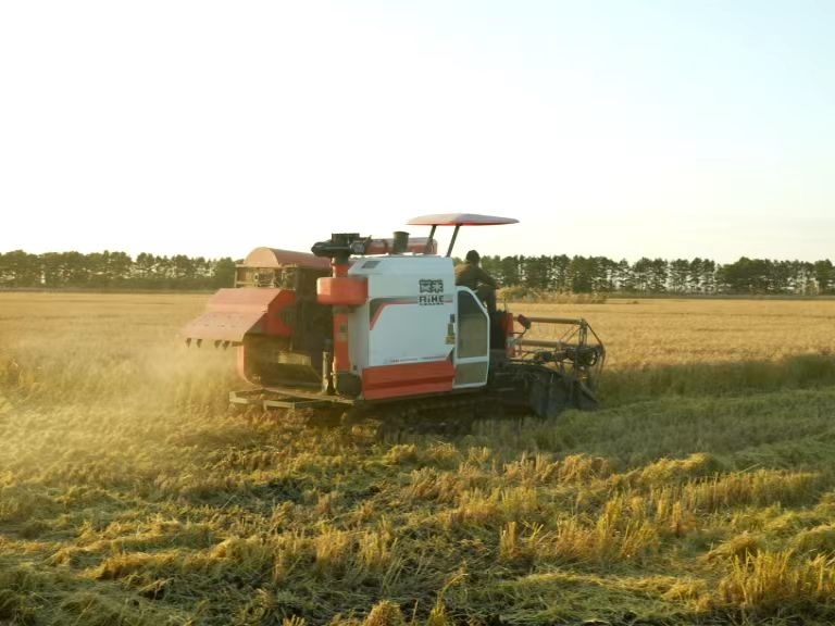 1698119178149922.png 2.png