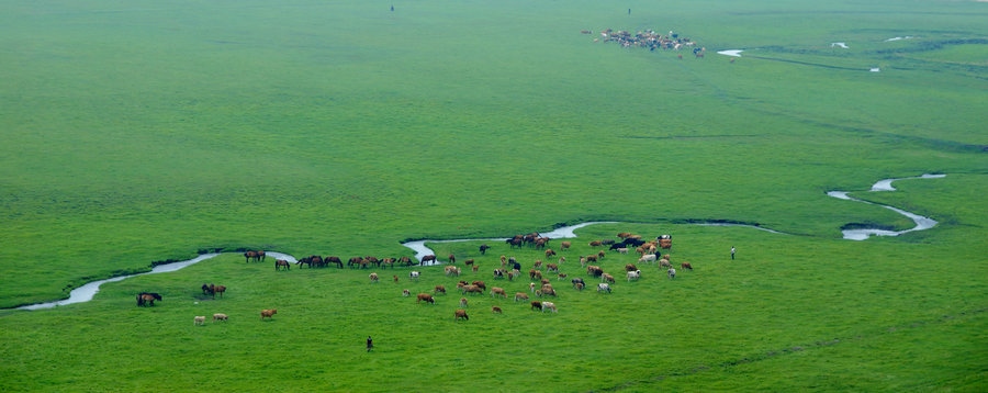 1721031935867391.jpg 科爾沁沙地殲滅戰(zhàn)興安盟科右中旗“南三蘇木”治理區(qū)防沙治沙工程建設(shè)活動現(xiàn)場(攝影:包寶音德力格爾).JPG