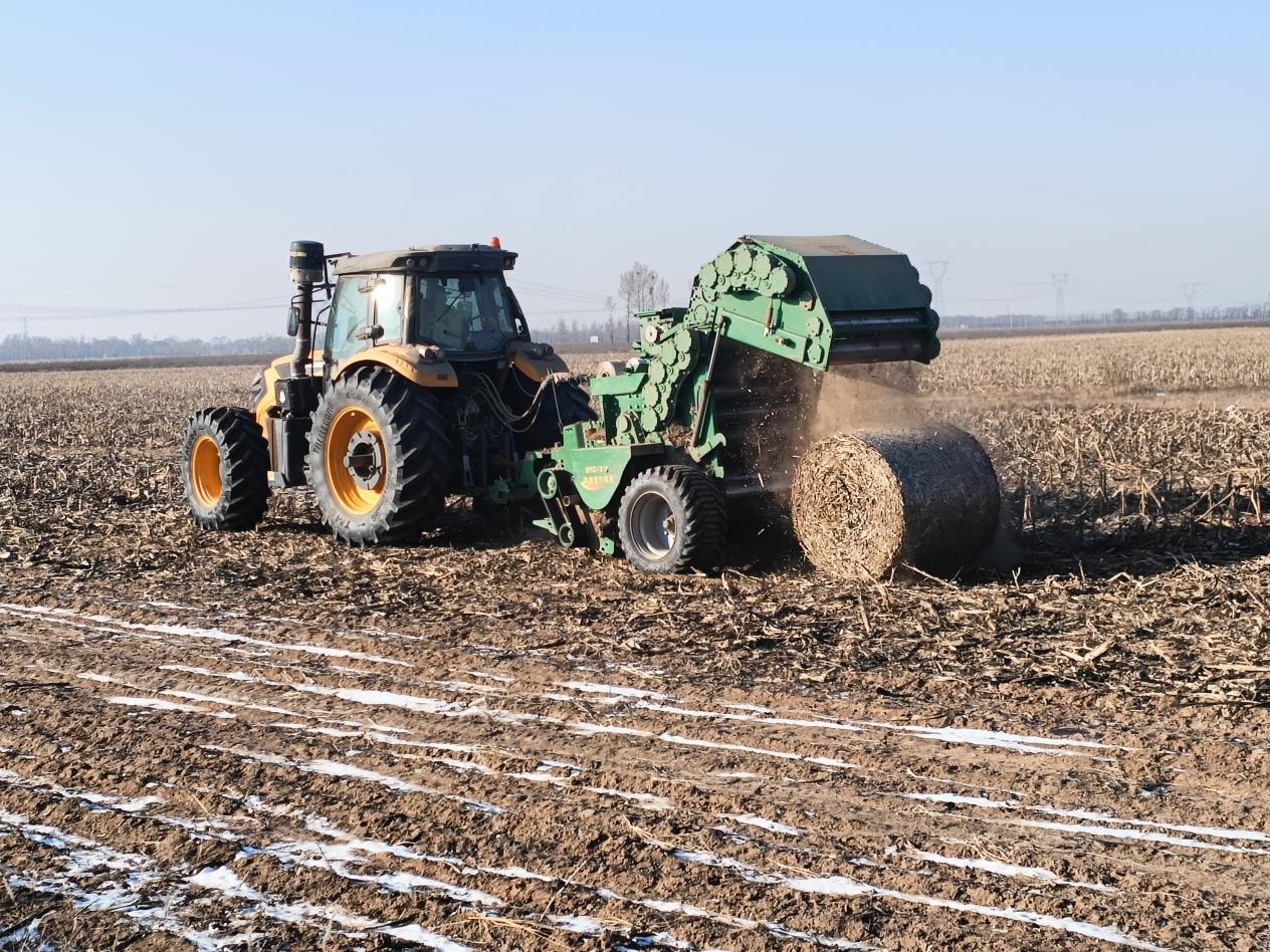 1734013747943256.jpg 圖片1.jpg