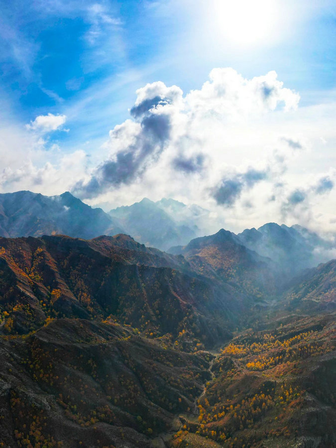 1735285904111271.jpg 2 (1).jpg