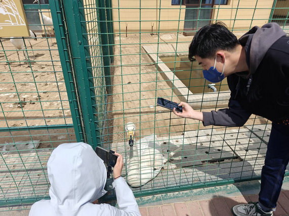 1744852482453856.jpg 東營(yíng)1.jpg