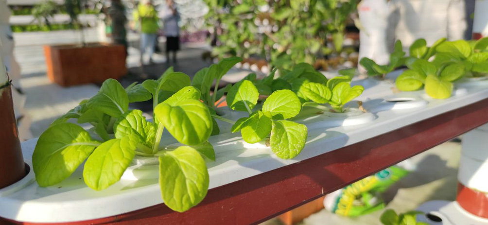 1751851515112127.jpg 生態(tài)2.jpg