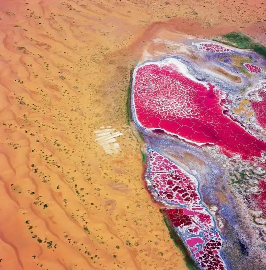 1755838082105987.jpg 640 (72).jpg