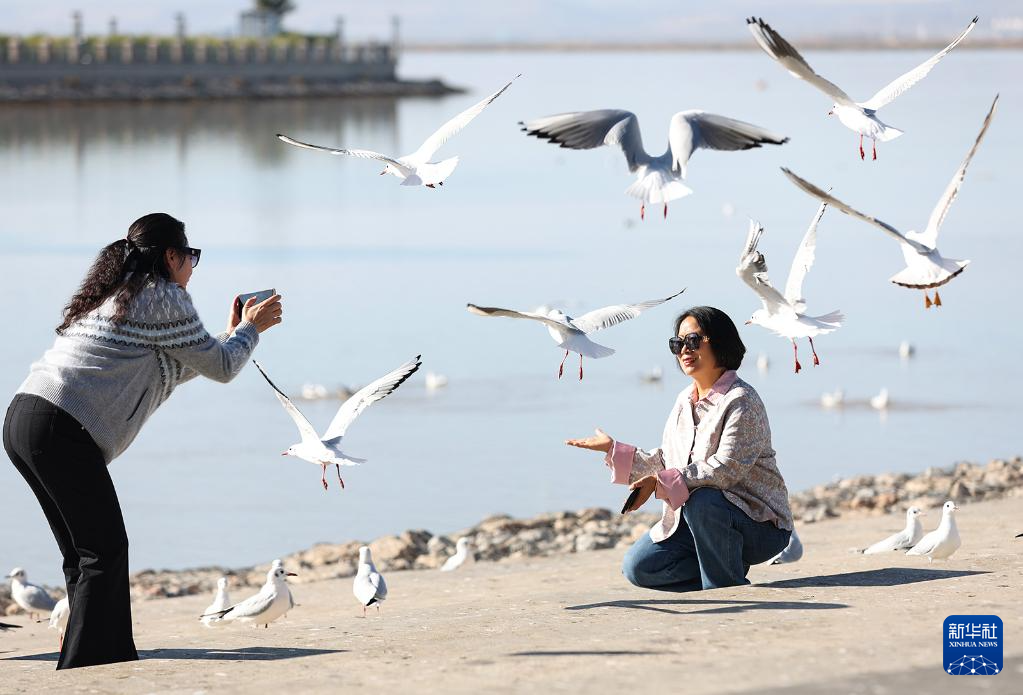 1762136197770225.jpg _DSC3231.jpg