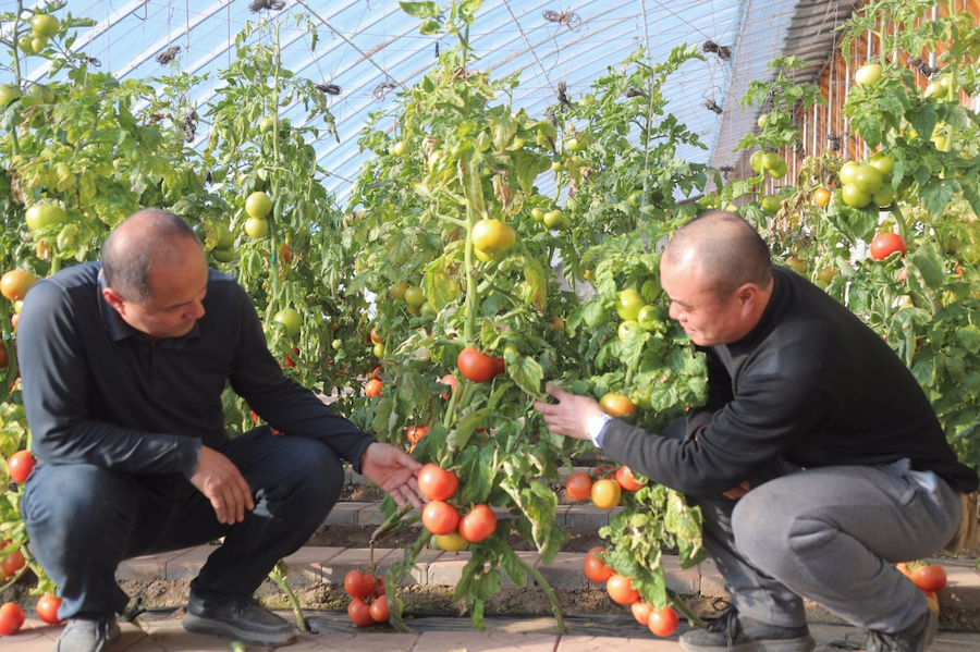 1767251086127860.png 圖片40.png