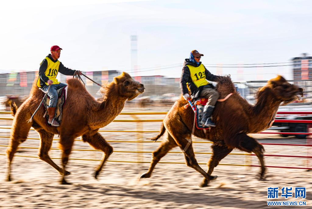 3月7日，賽駝手在6000米成年駱駝場(chǎng)地速度賽比賽中.jpg