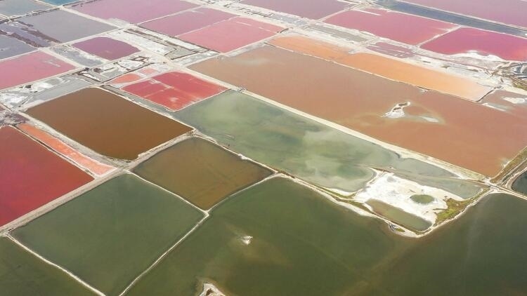 鑒往知來，跟著總書記學(xué)歷史丨走進(jìn)一座博物館，尋根五千年中華文明