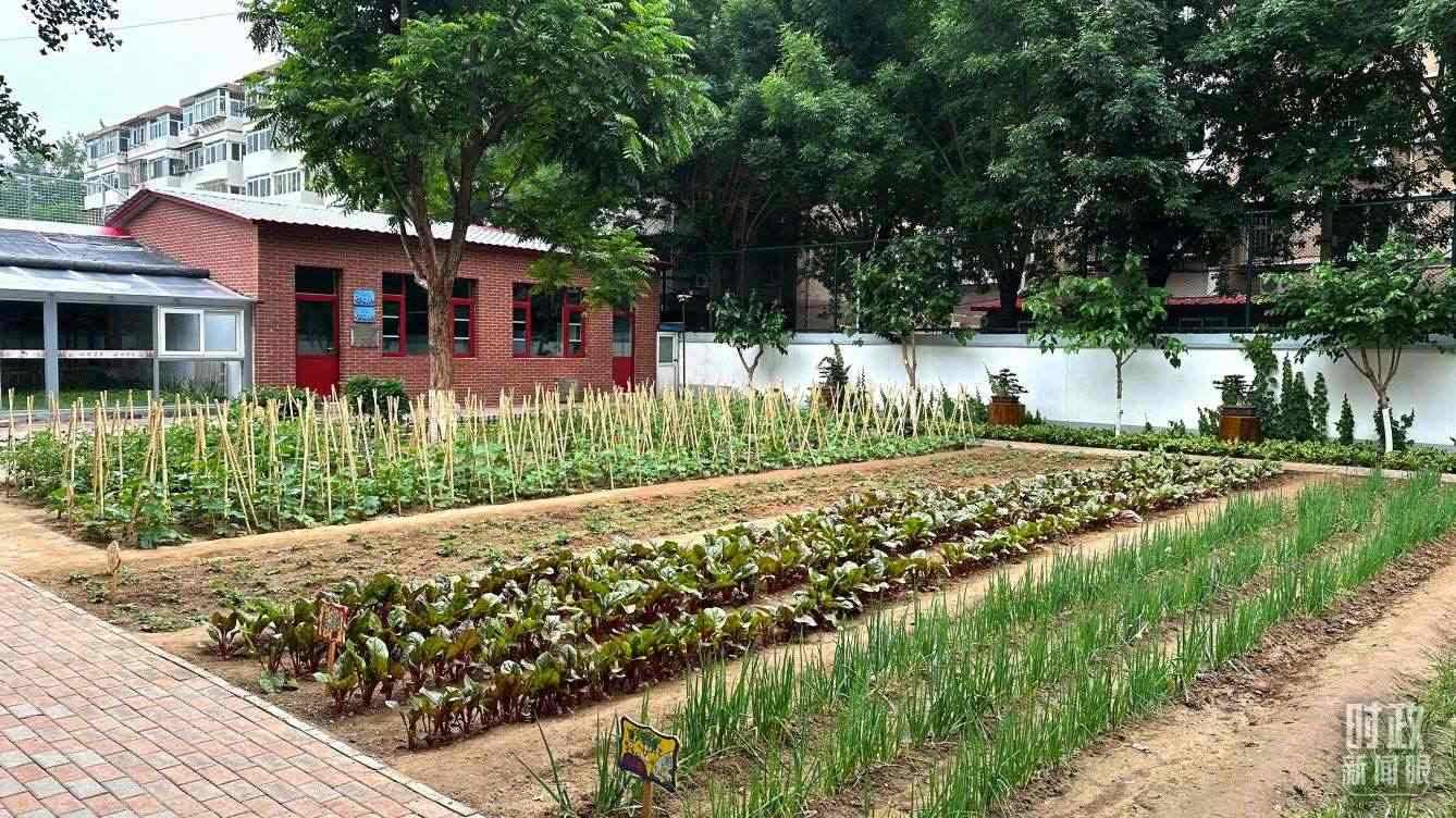 △學(xué)生農(nóng)場(chǎng)。（總臺(tái)央視記者趙化拍攝）