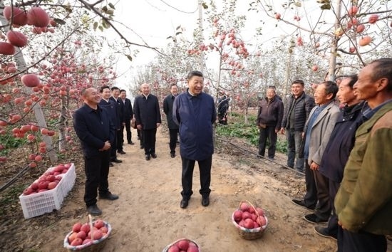 2022年10月26日，習(xí)近平總書記在陜西省延安市安塞區(qū)高橋鎮(zhèn)南溝村蘋果園同老鄉(xiāng)們親切交流。