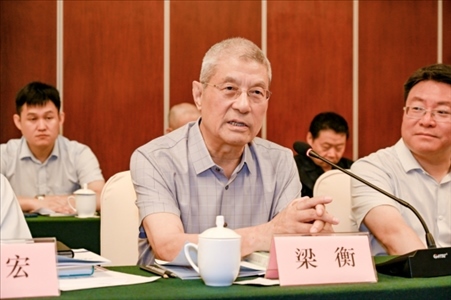 中國林業(yè)生態(tài)作家協(xié)會(huì)名譽(yù)主席梁衡發(fā)言。主辦方供圖