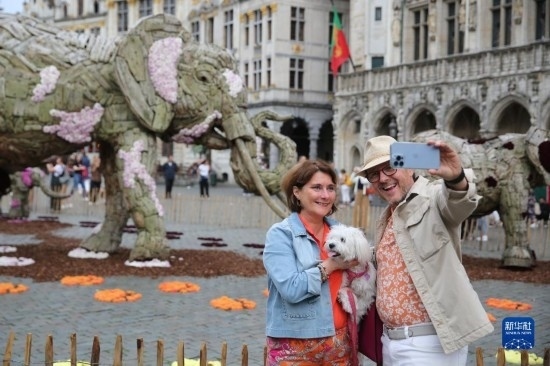 8月11日，觀眾在比利時布魯塞爾“鮮花時光”展覽上拍照。新華社記者 趙丁喆攝