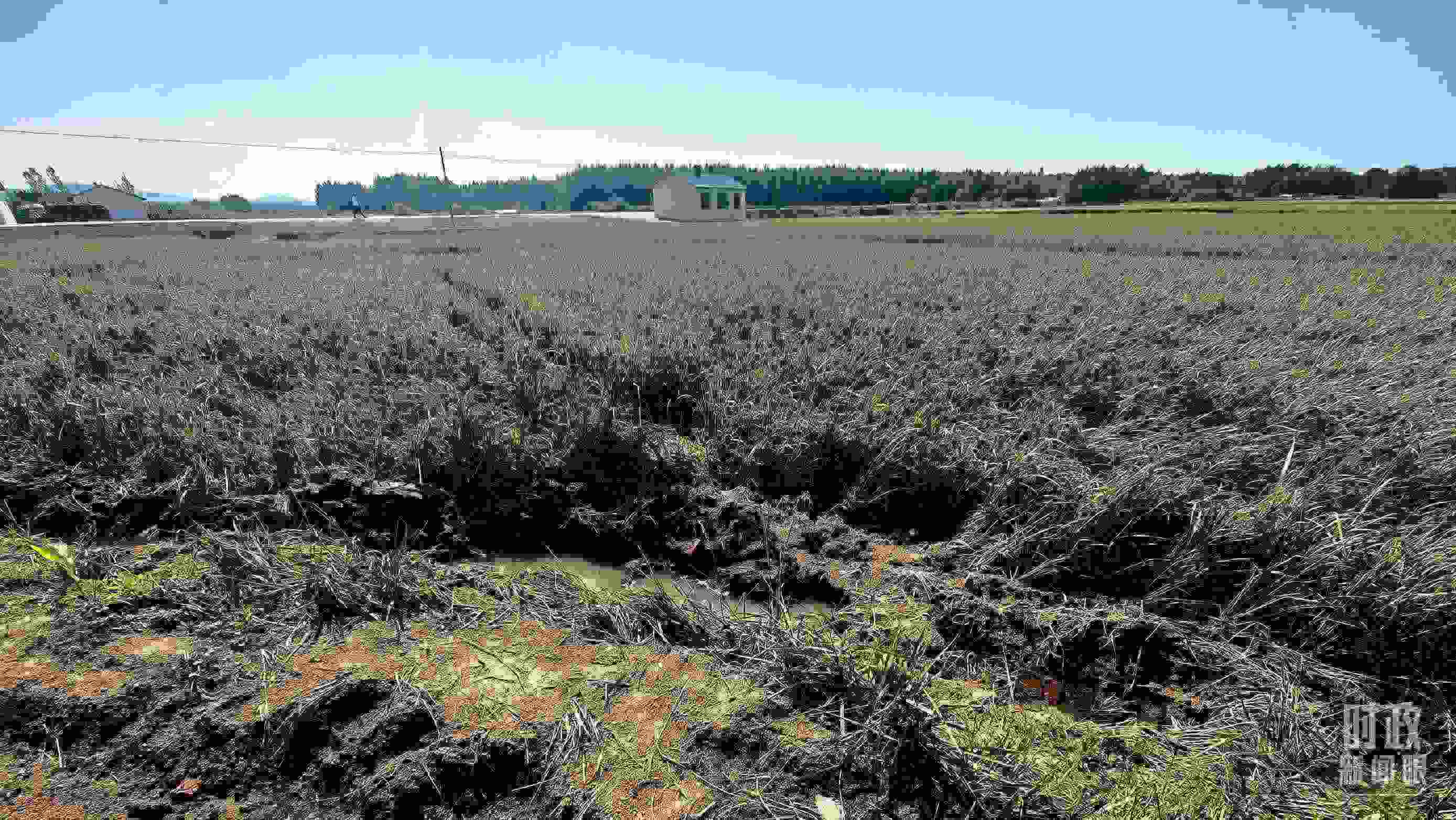 △圖為龍王廟村在洪災(zāi)中受損的農(nóng)田。（總臺(tái)央視記者史偉拍攝）