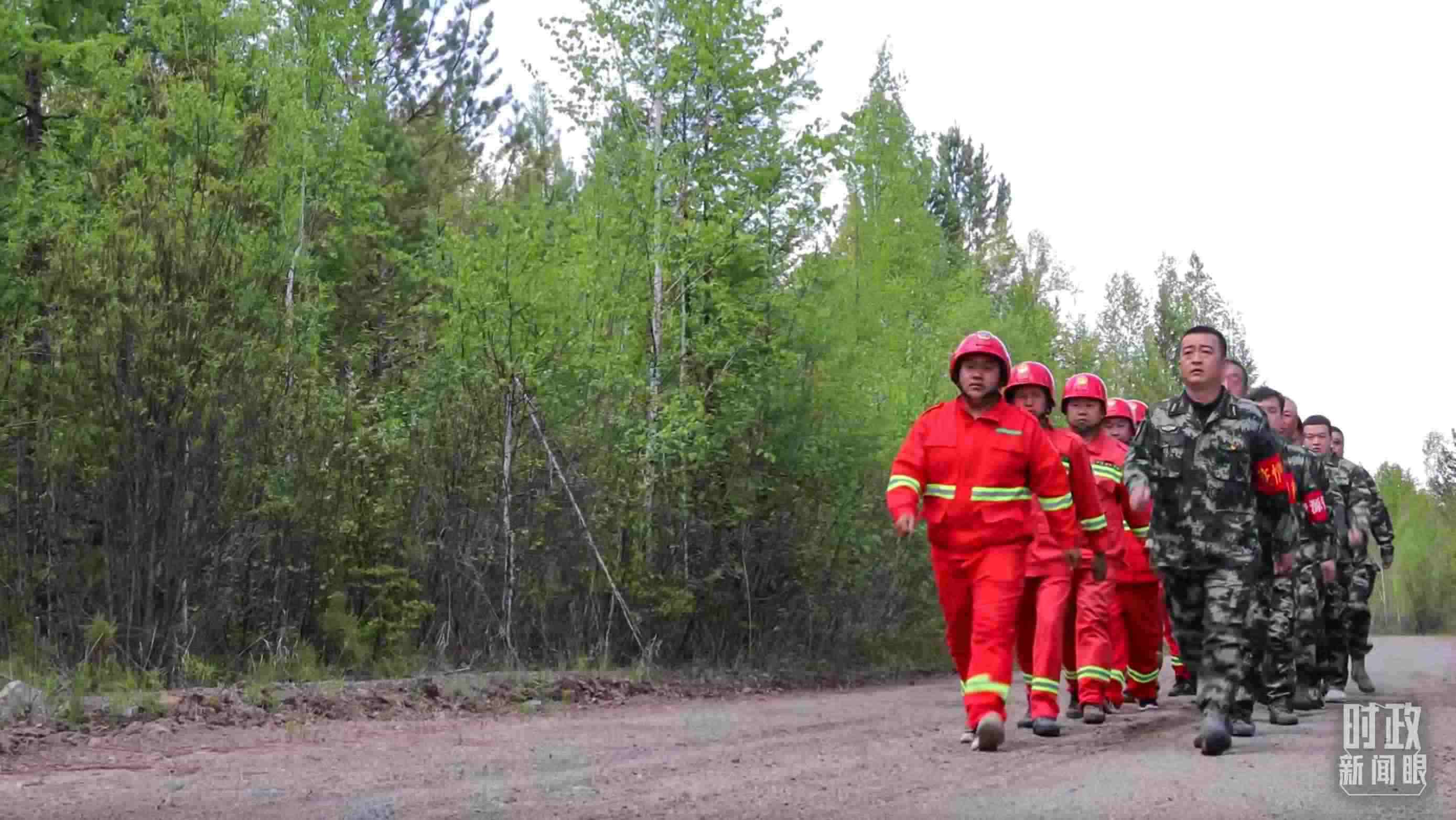 △林場里的森林巡護。