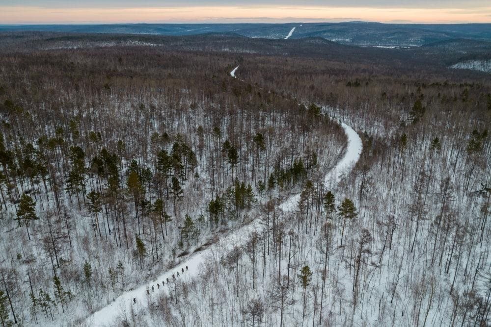 △2023年1月，漠河林場數(shù)十名職工自發(fā)組成的森林撫育隊伍，在人跡罕至的山林中作業(yè)。