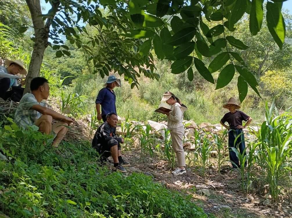 2023年7月18日，兩家村民發(fā)生土地方面的糾紛，李江女（右二）在記錄情況。受訪(fǎng)者供圖