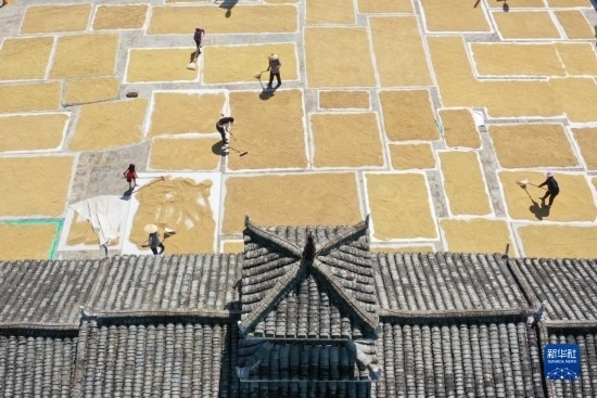 9月16日，村民在貴州省黔東南苗族侗族自治州從江縣剛邊壯族鄉(xiāng)三聯(lián)村晾曬稻谷（無(wú)人機(jī)照片）。