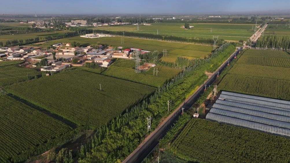 東興村周邊建起防護(hù)林網(wǎng)（無人機(jī)照片，2023年9月12日攝）。新華社記者李云平 攝