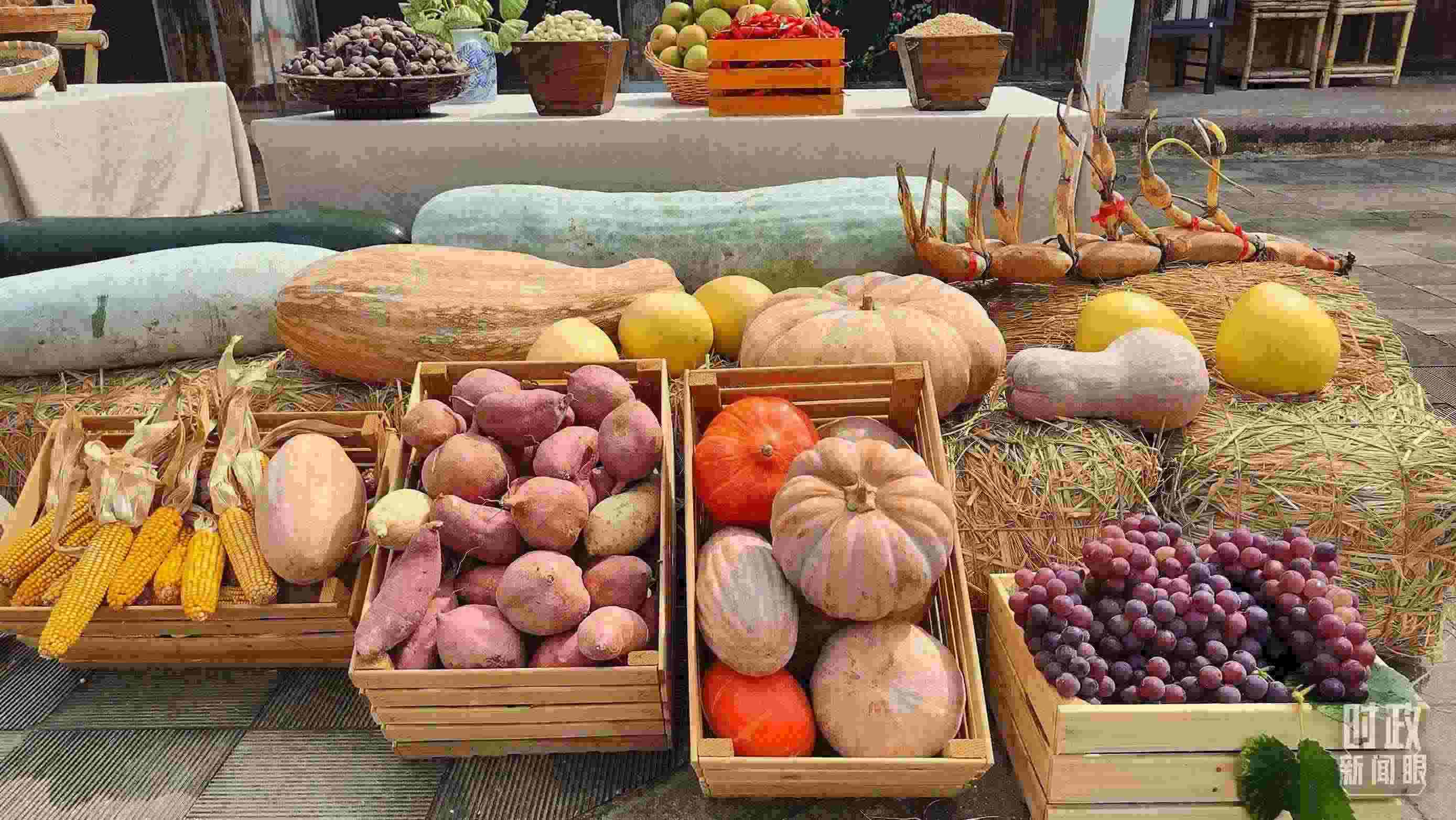 △村廣場“共富市集”，擺放著種類豐富的特色農(nóng)產(chǎn)品。（總臺央視記者楊立峰拍攝）