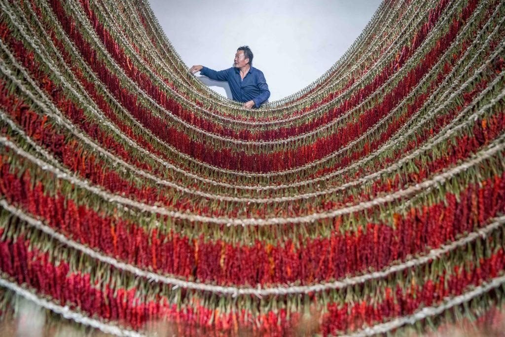 在貴州省畢節(jié)市大方縣理化鄉(xiāng)金雞村，村民查看辣椒烘干情況。新華社發(fā) 羅大富攝