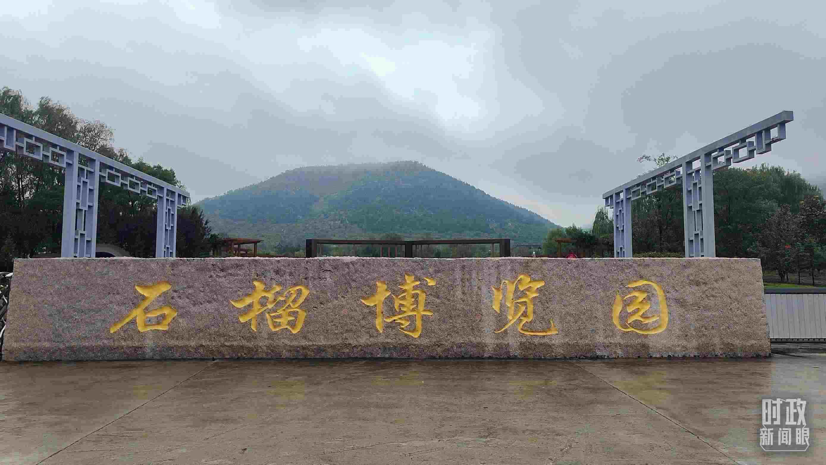 △石榴種質(zhì)資源庫位于石榴博覽園內(nèi)。（總臺央視記者楊立峰拍攝）