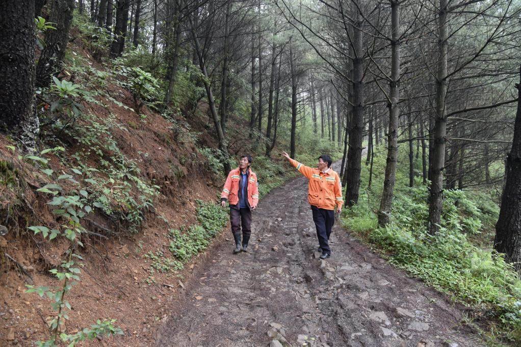 海雀村生態(tài)護(hù)林員馬正安（左）和海雀村林管員王光德（右）在日常巡山護(hù)林。新華社記者 李凡 攝