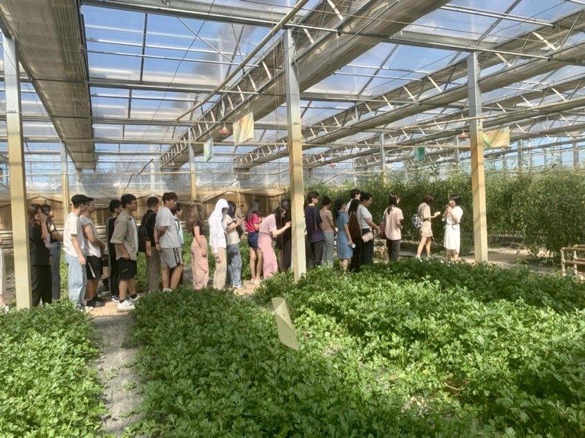 記者團參觀國信現(xiàn)代農(nóng)業(yè)基地 了解現(xiàn)代化溫室建設(shè)及其配套設(shè)施的設(shè)計生產(chǎn)理念 中國農(nóng)業(yè)大學勾琳萱 攝