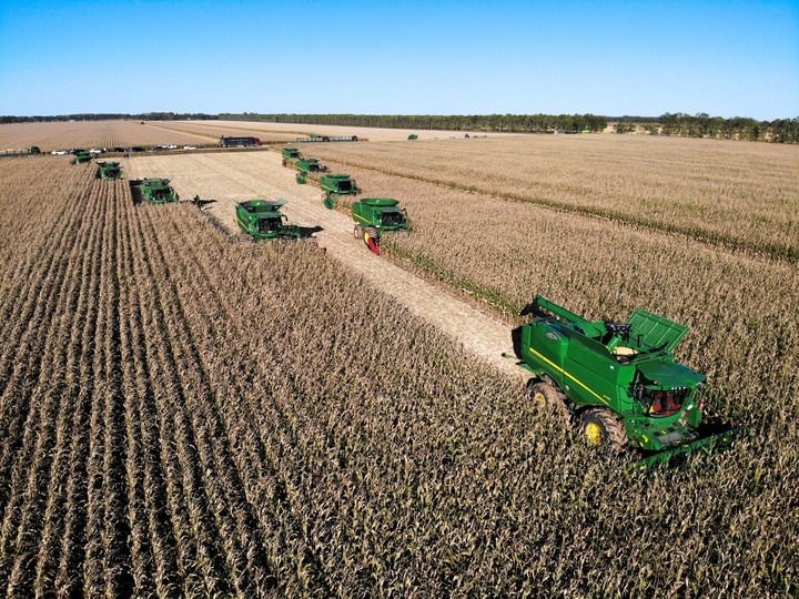 9月20日在位于黑龍江雙鴨山市友誼縣的北大荒農(nóng)業(yè)股份有限公司友誼分公司一地塊拍攝的秋收現(xiàn)場(chǎng)（無人機(jī)照片）。新華社記者 王松 攝