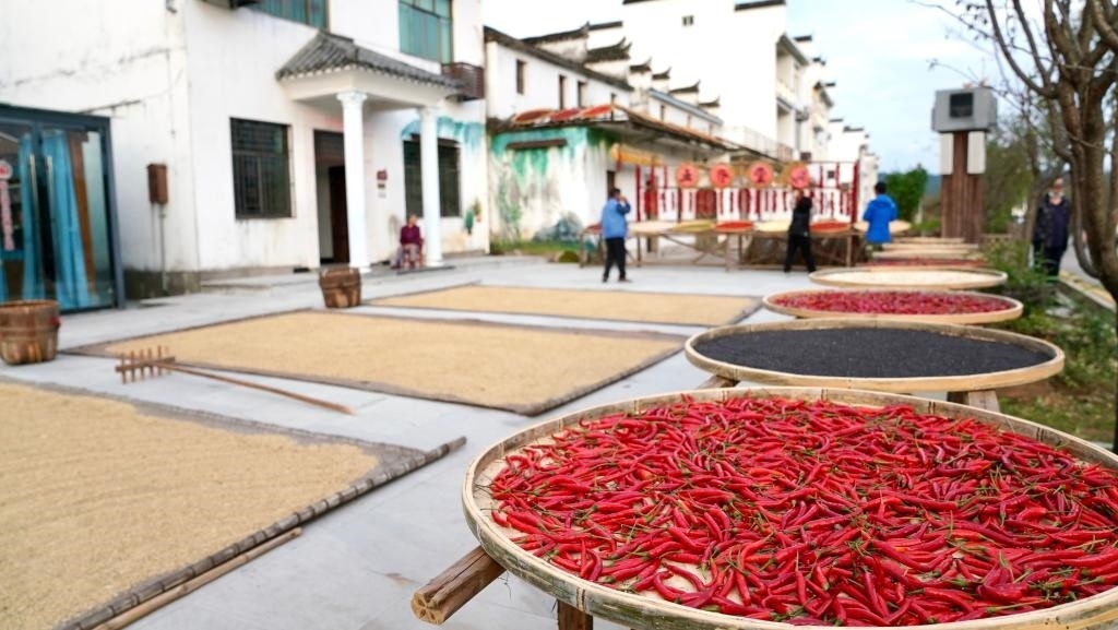 近日拍攝的江西省上饒市婺源縣秋口鎮(zhèn)王村石門(mén)自然村。新華社記者 胡晨歡 攝