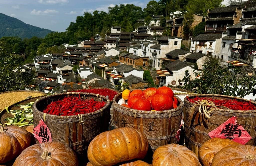 近日拍攝的江西省上饒市婺源縣篁嶺村曬秋畫(huà)面。新華社記者 胡晨歡 攝