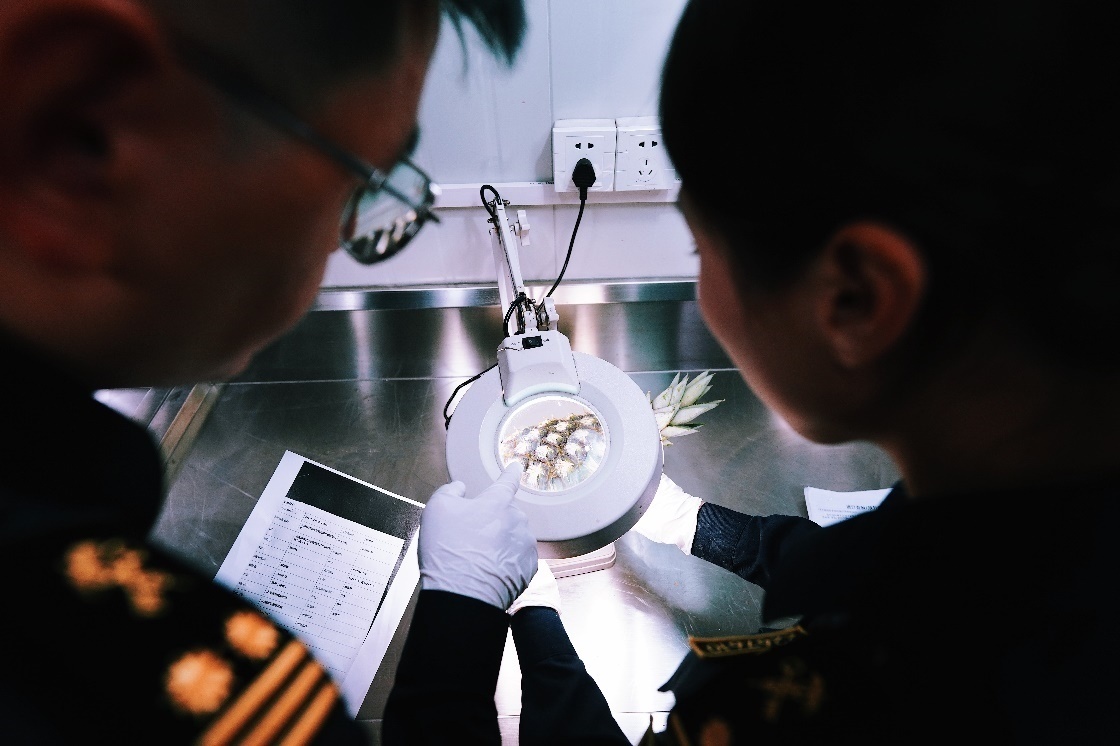 上海海關(guān)關(guān)員針對(duì)檢疫性有害生物和農(nóng)藥殘留進(jìn)行檢疫檢驗(yàn)。陳興洲攝