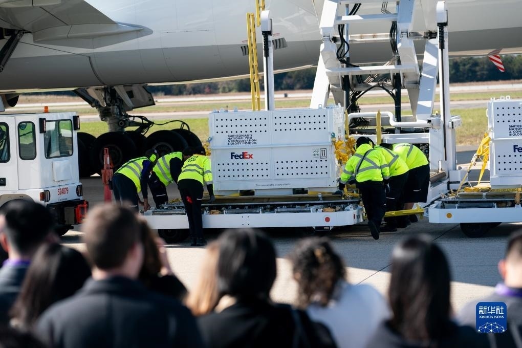 11月8日，在美國弗吉尼亞州的華盛頓杜勒斯國際機(jī)場，裝有大熊貓的特制“旅行包廂”準(zhǔn)備運(yùn)上專機(jī)。新華社記者劉杰攝