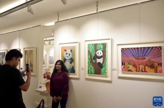 11月22日，在孟加拉國達卡，人們在“國家印象”繪畫展上參觀拍照。新華社發(fā)（薩利姆攝）