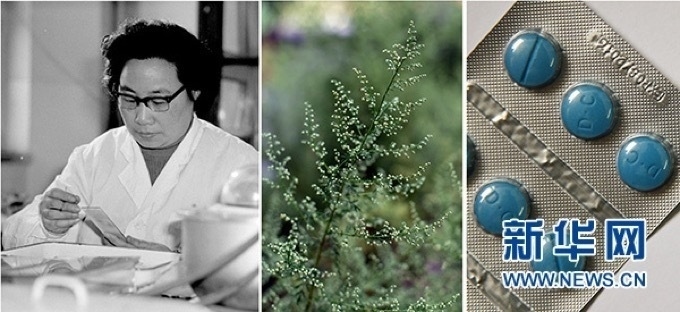 屠呦呦、青蒿和抗瘧疾成藥（拼版資料照片）
