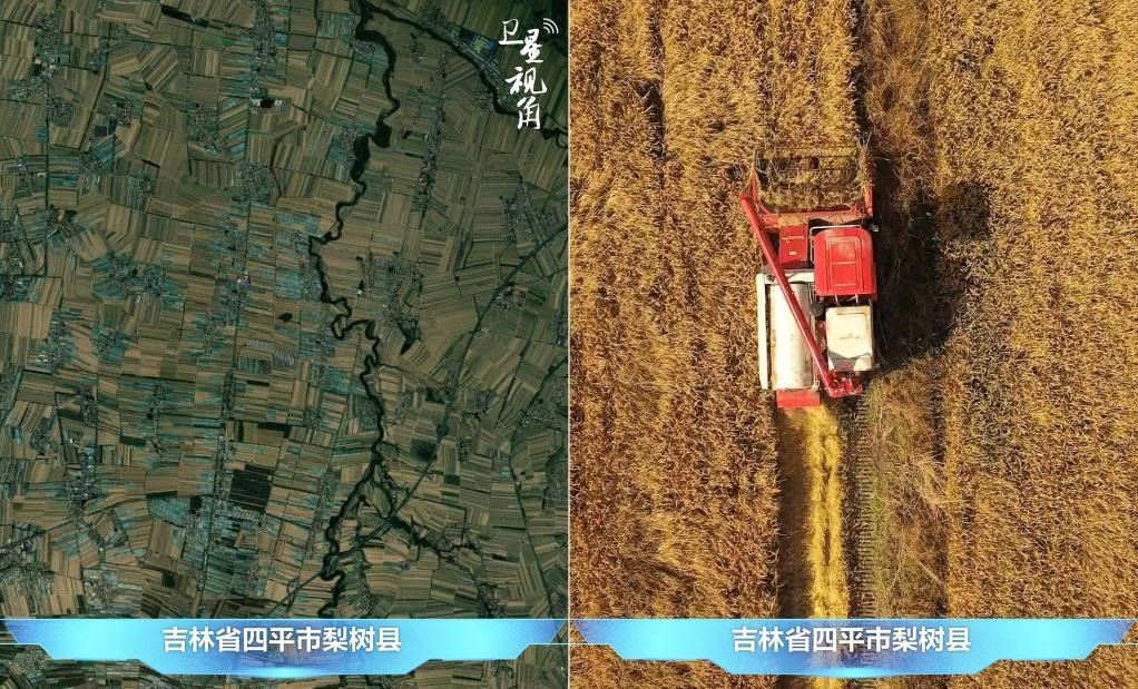 隨著現(xiàn)代化農(nóng)機(jī)普及應(yīng)用，保護(hù)性耕作“梨樹模式”得以大面積推廣，不僅使黑土地保護(hù)與利用持續(xù)深入，更為糧食作物高產(chǎn)穩(wěn)產(chǎn)助力。