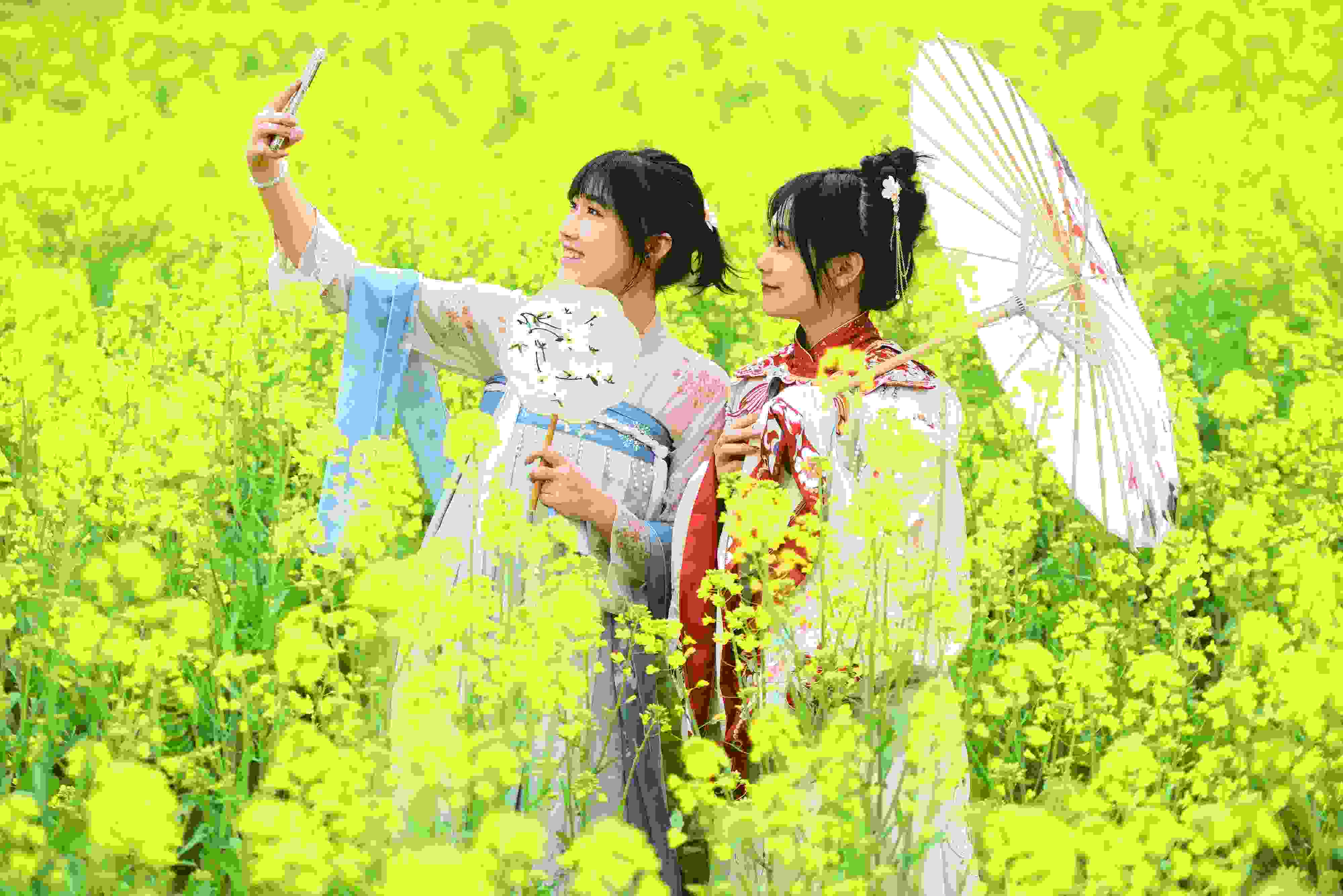 △ 2024年2月16日，廣西賀州，在富川瑤族自治縣麥嶺鎮(zhèn)三民村，游客在油菜花田間賞花拍照。