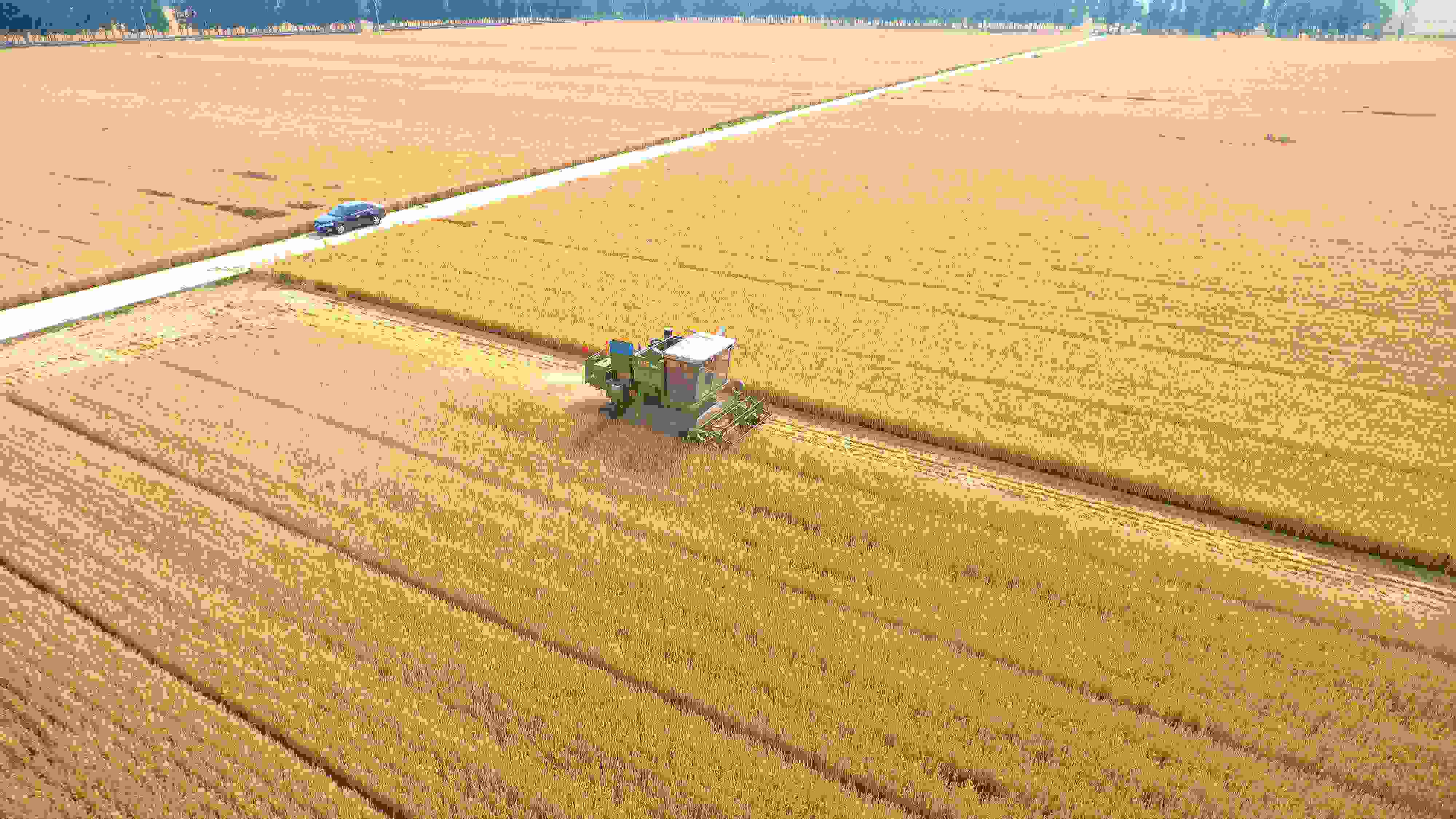 △ 2023年6月5日，山東聊城茌平區(qū)賈寨鎮(zhèn)王藥包村，收割機(jī)在田間進(jìn)行小麥?zhǔn)崭钭鳂I(yè)。