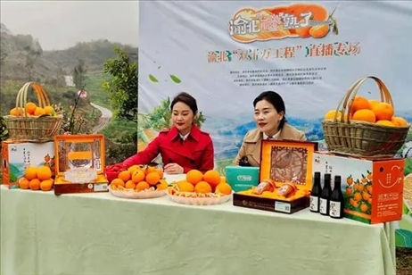 2021年2月26日，在重慶渝北區(qū)大盛鎮(zhèn)青龍村舉辦的直播活動(dòng)現(xiàn)場(chǎng)。