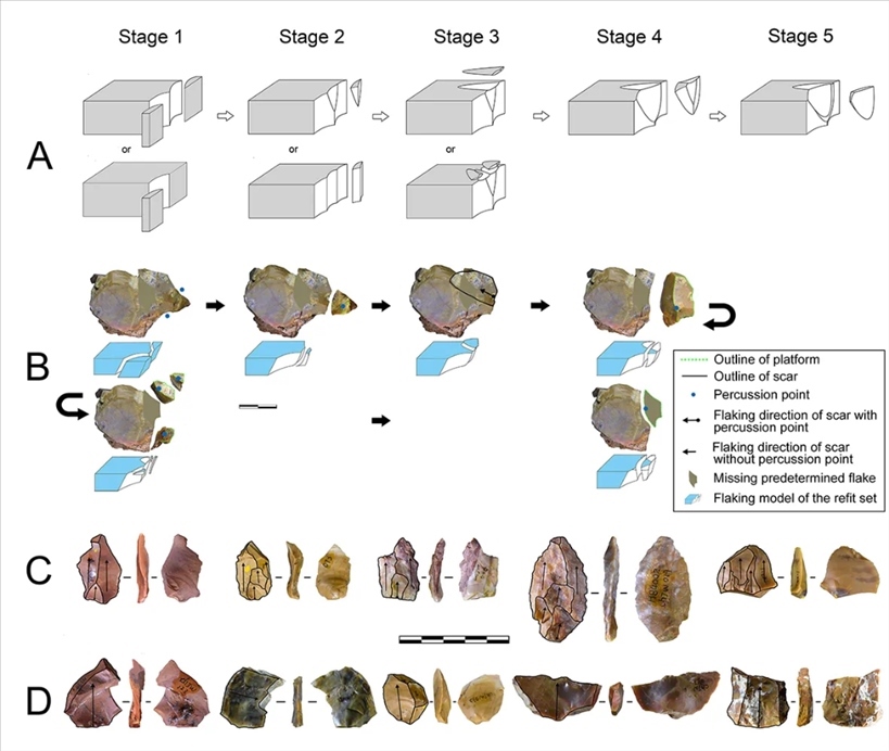 岑家灣遺址“準(zhǔn)備石核技術(shù)”及相關(guān)石制品。（受訪單位供圖）