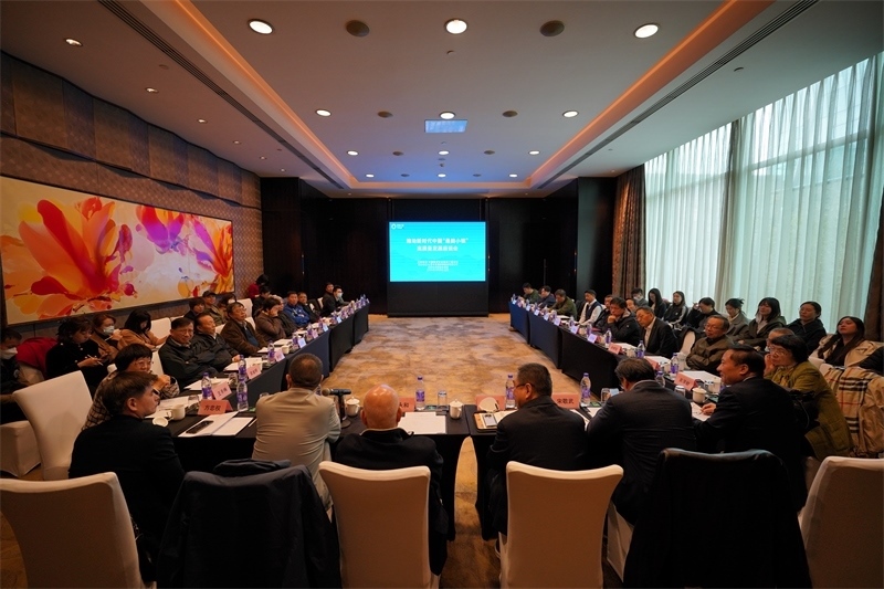 座談會(huì)現(xiàn)場。主辦方供圖