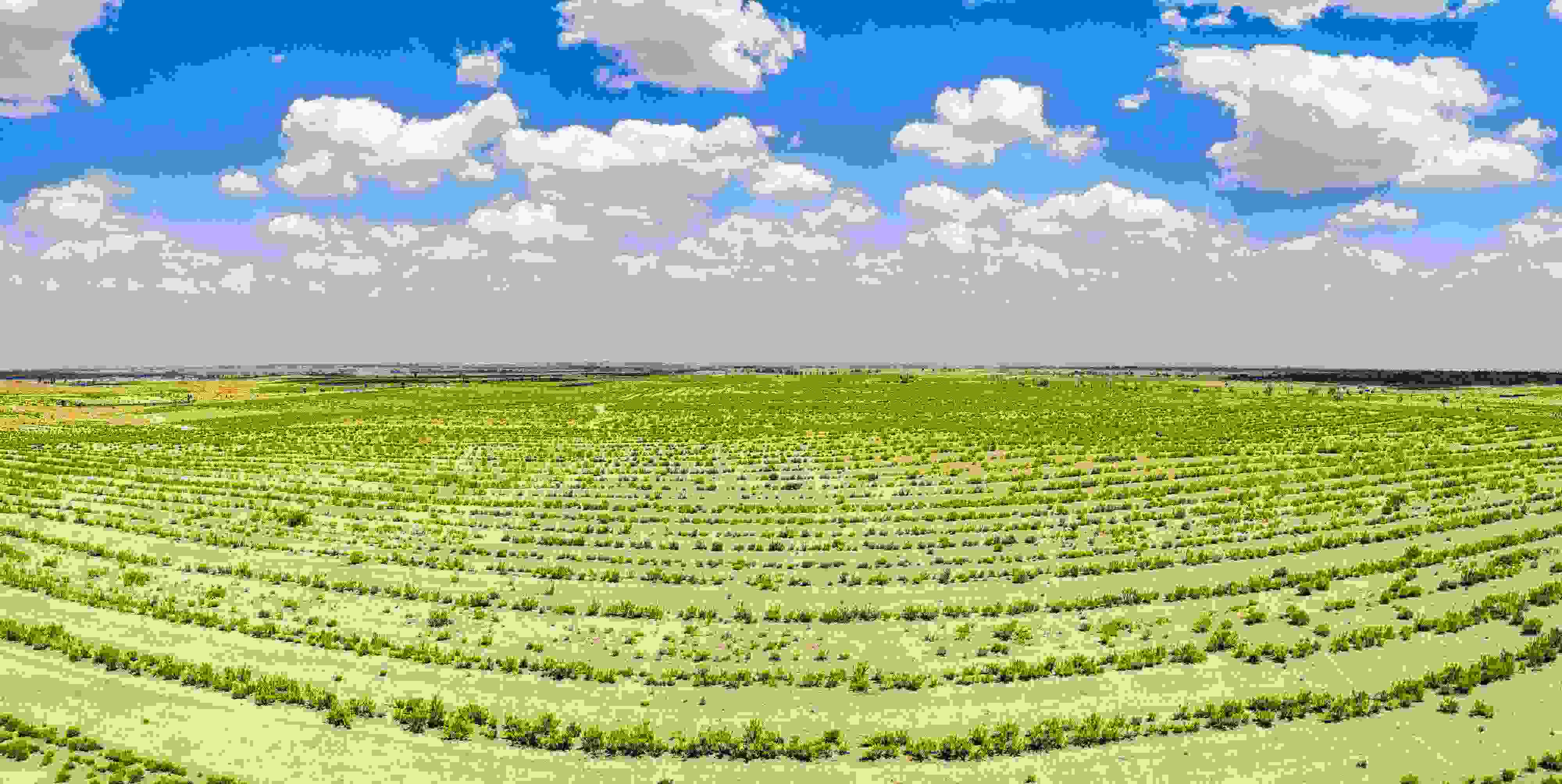 2023年6月7日，內蒙古鄂爾多斯，毛烏素沙漠。