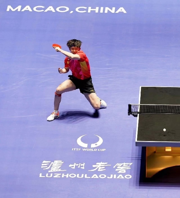 王楚欽在比賽中。賽事方供圖