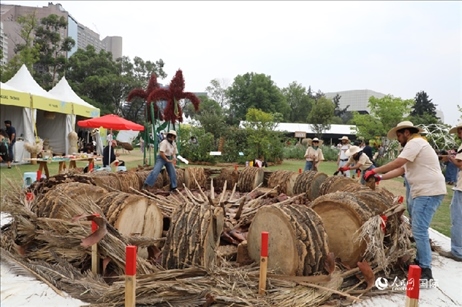 坎波·馬特活動現(xiàn)場。埃內(nèi)斯托·多明戈斯攝